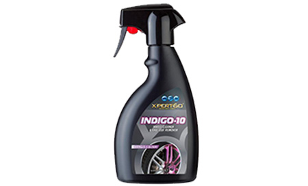 INDIGO-10